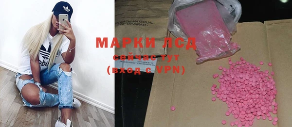 стафф Алексин