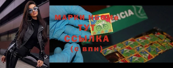 стафф Алексин