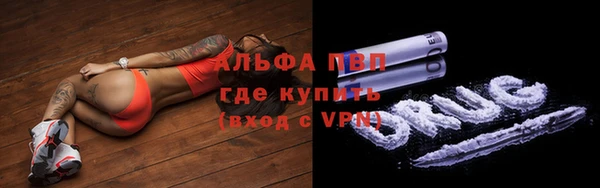 стафф Алексин